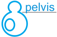 Pelvis